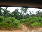 20674P1020531.JPG