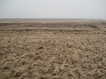 8514IMG_0340.JPG