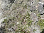 2017-09-25_08-14-52_Ground.JPG