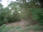 4073RIMG0378.JPG