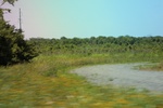 2022-06-11_15-55-56_9247425C-7663-4D6A-86A4-E2206510A096.jpeg