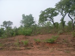 3991RIMG0295.JPG