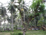 15952IMG_4503.JPG