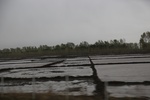 2017-05-12_17-38-14_2017-05-05 19.05.56.jpg