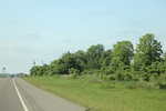 2022-05-26_14-29-03_95DA0AD3-CA56-45C9-BB7D-994CA6B86943.jpeg