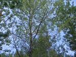 2012-09-27_21-59-45_MT-MS-1-7.JPG