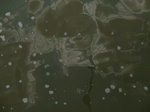 58586CIMG3036.JPG
