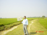 6700gt143-cropland-1.jpg