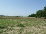 19239P1010085.JPG