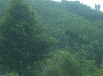 2012-09-08_19-26-10_RIMG0129.JPG