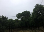 2017-09-10_20-45-11_37B7E754-CE4C-453D-B345-44A8C21FF567.jpg