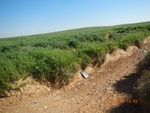 2017-02-02_10-25-24_DSCN0343.JPG