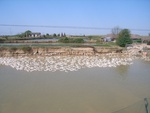438120071010gps 017.jpg