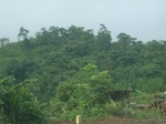 2012-09-08_18-23-40_RIMG0041.JPG