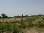 18995P1000839.JPG