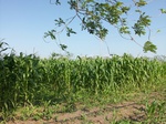 5847100_1512.JPG