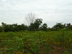 18401P1000237.JPG