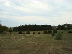 2012-10-19_23-47-00_SD-YN-11-1.JPG