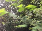 2017-09-10_06-57-54_A46021F5-6B28-4795-80AE-754F226E3ADE.jpg