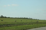 2022-05-26_14-16-07_34DF4965-78D8-43C2-9F4D-3B55D12CD611.jpeg