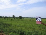 836467-cropland-rice-faalllow-b.jpg
