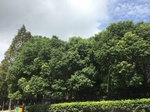 2017-09-12_12-38-02_93D56DC7-7FB0-4C17-AD71-69D964CD136B.jpg