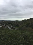 2017-02-19_11-37-09_22794B58-3BD5-4FF7-8BBE-86E70086F965.jpg