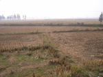 4592RIMG0034-2.JPG