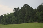 2022-06-11_16-04-41_48A727C0-2687-48F2-8E23-0718EDE5CFBF.jpeg