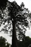 2018-04-14_14-44-55_2017-06-26 23.15.06.jpg