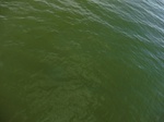 2012-09-21_14-27-13_CIMG3105.JPG