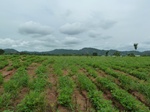 18592P1000429.JPG