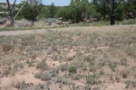 2017-06-19_14-20-20_Frenchies Field SAF 17 June 2017 (5192).JPG
