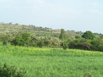 490202052008(94).JPG