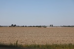 2022-05-26_12-49-33_363FFF58-4FDF-44FE-9DA7-457B446D486D.jpeg