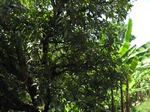 15452IMG_4329.JPG
