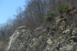 2016-07-12_15-52-27_2016-04-14 11.20.32.jpg