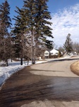 2017-02-09_14-08-36_IMG_0042[1].JPG