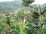 15328IMG_4167.JPG