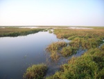 441720071010gps 097.jpg