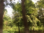 2017-09-12_12-57-17_844E330E-9DDB-4214-9A1B-3B922C43072A.jpg