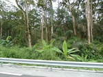 20075P1010926.JPG