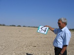 10272054-Irrigated (Surface water) winter wheat-a.jpg