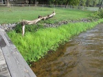 2012-09-10_20-51-36_AR-FK-2-3.JPG