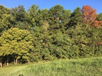 2018-09-02_08-02-02_EE0F6A24-CD6B-494B-9362-D310A66CEFCE.jpg