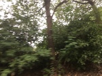 2017-09-10_20-45-56_386B4A3C-6C30-4CD9-A849-2D7F526EE004.jpg