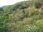 506520042008(115).JPG