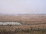 4685RIMG0164.JPG