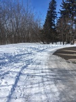 2018-03-16_15-02-39_E1EF7796-28FA-4F76-8F80-40E4E9F37A03.jpg