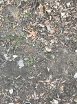2020-11-07_17-53-33_0A0E3BC0-420B-4888-9239-91BC4CA261D3.jpeg